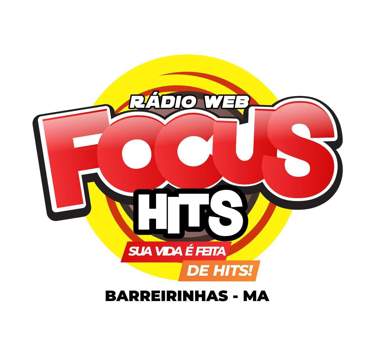 Web Focus Hits